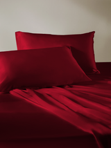 Pure Mulberry Silk Pillowcases Set 2 for 1